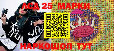 шишки Донской