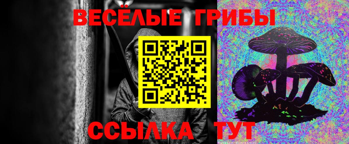 Мытищи  Галлюциногенные грибы Psilocybe  Вход с VPN 