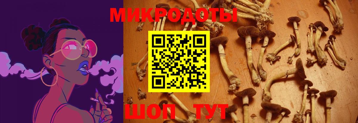 Псилоцибиновые грибы MAGIC MUSHROOMS Мытищи